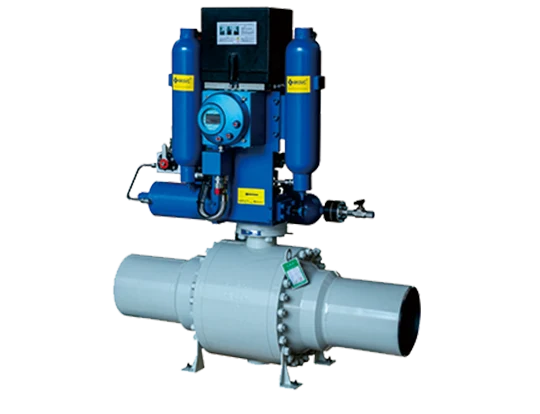 ग्लोब भल्भका मुख्य फाइदाहरू र हानिहरू के हुन्?